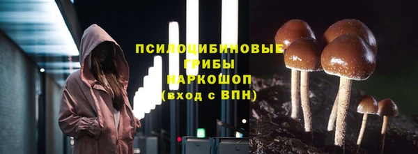 твердый Верхний Тагил