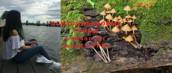 эйфоретик Белокуриха